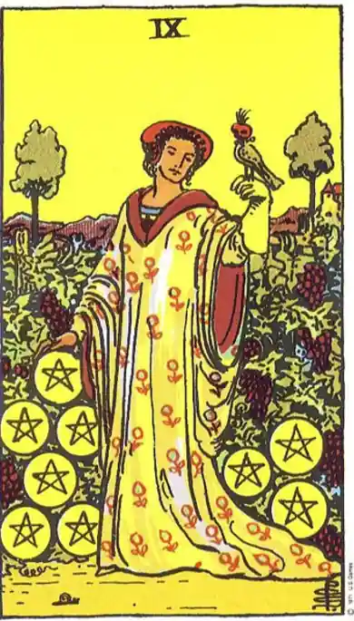 Nine of Pentacles