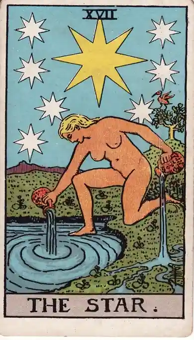 The Star